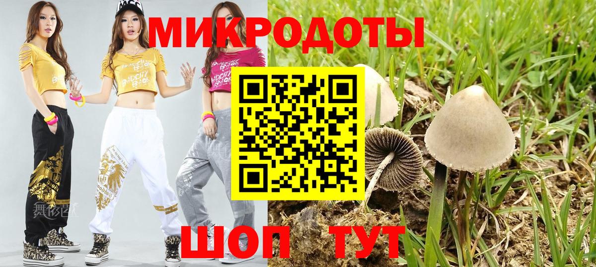 Кузнецк  купить наркотики сайты  Вход с VPN  Псилоцибиновые грибы мицелий 