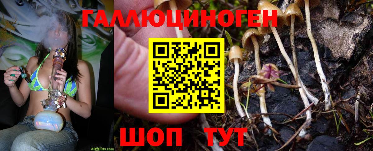Псилоцибиновые грибы мухоморы Кузнецк
