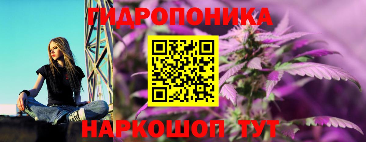 Каннабис White Widow  Канабис марихуана  Вход с VPN  Кузнецк 